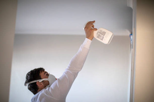 Reliable De Leon, TX Mold Removal Solutions