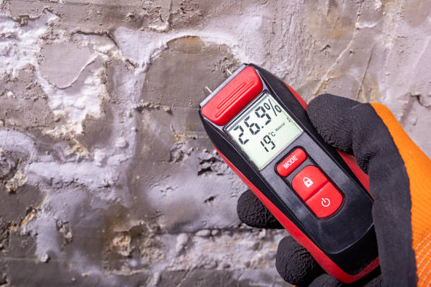 Best Attic Mold Removal  in De Leon, TX