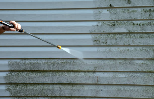 Best Home Mold Removal  in De Leon, TX