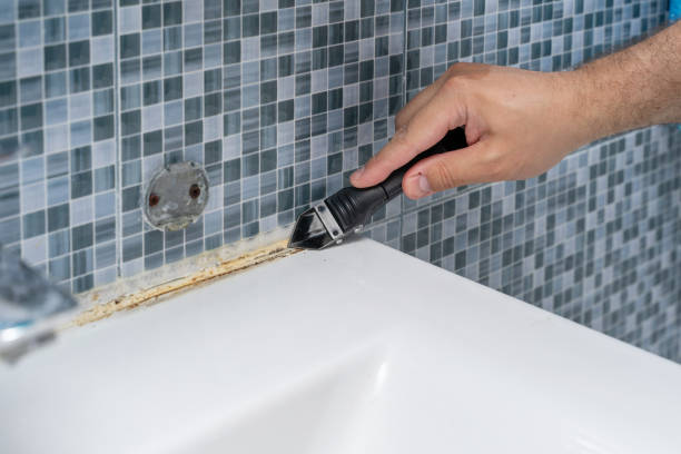 Best Black Mold Removal  in De Leon, TX