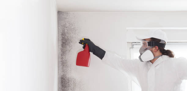 Best Residential Mold Removal  in De Leon, TX