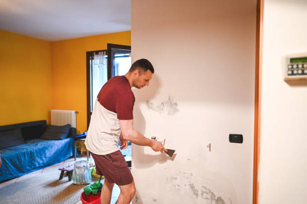 Best Mold Removal Company Near Me  in De Leon, TX